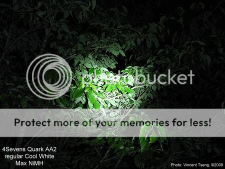 Quark2AA_foliage.jpg