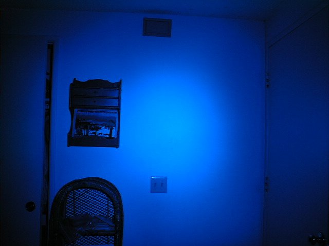 Royal.Blue.5W.Beamshot.jpg