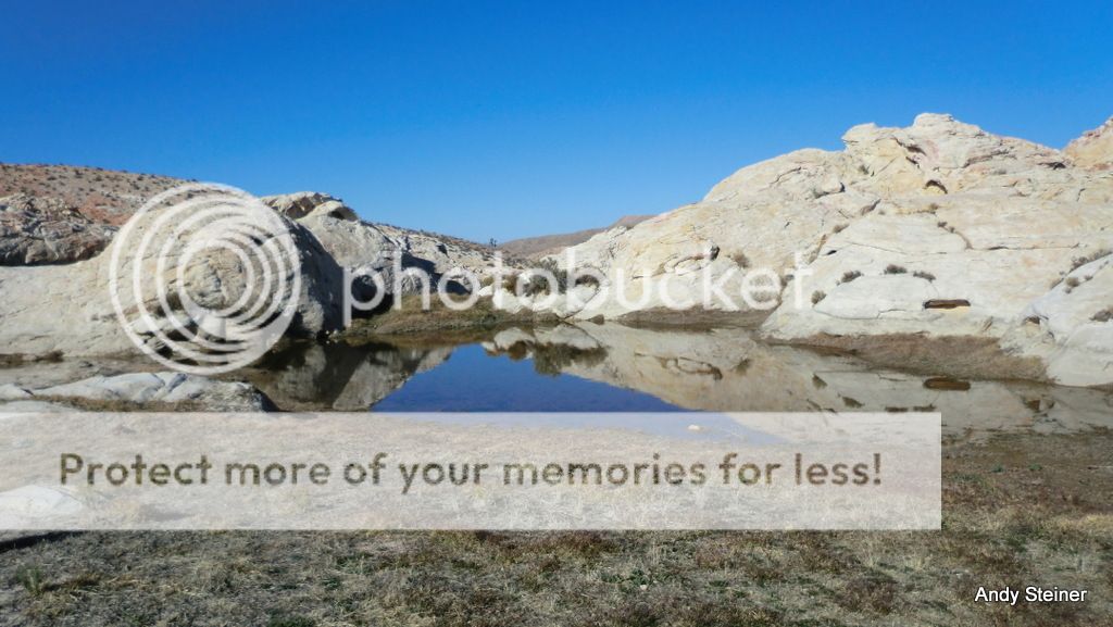 GoldButte-028_zps1495669d.jpg