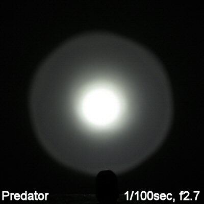 Predator-Beam002.jpg