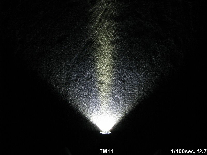 TM11-CarpetBeam.jpg