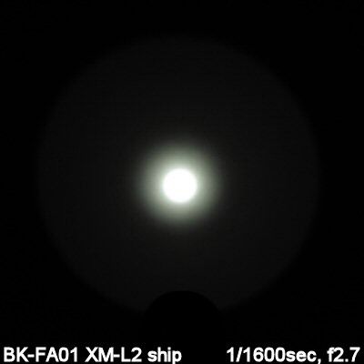 BKFA01-Beam004.jpg