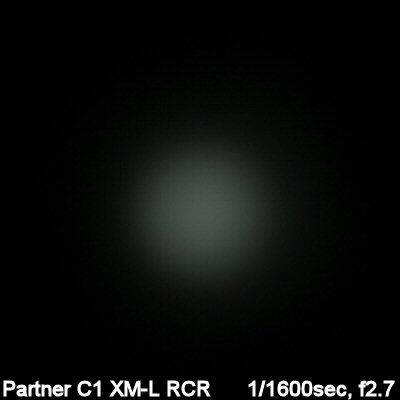 C1-XML-RCR-Beam004.jpg