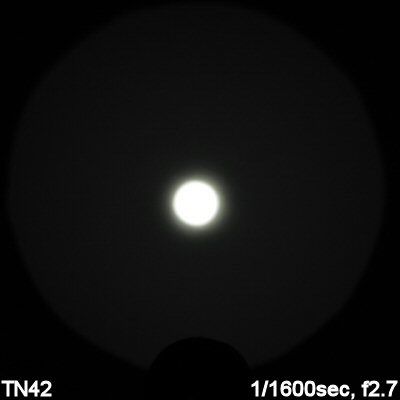 TN42-Beam%20004.jpg