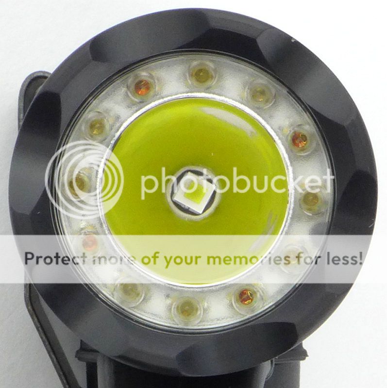 14%20TMax%20LEDs%20P1150227.jpg