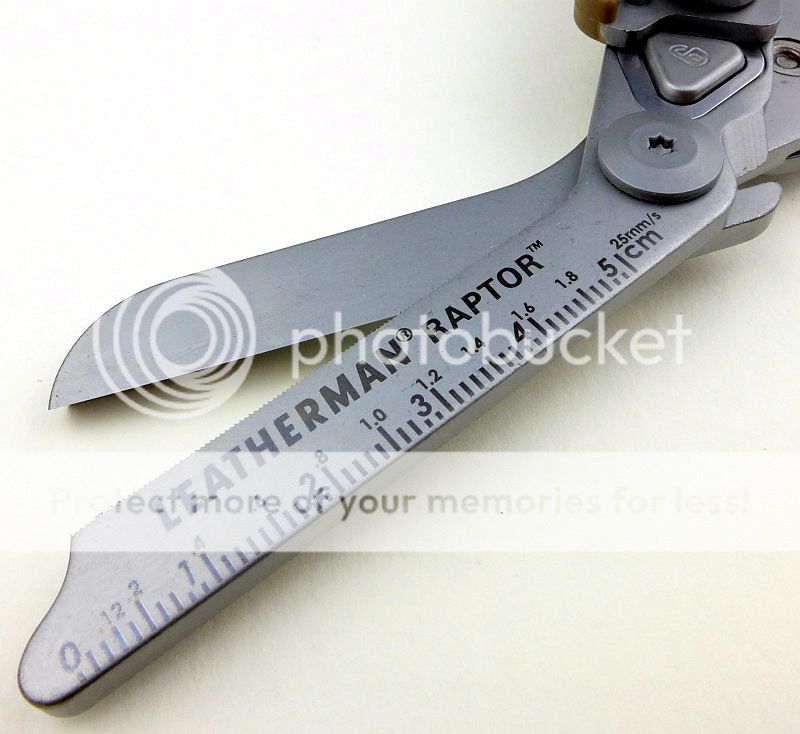 13%20Raptor%20main%20blades%20P1120116.jpg