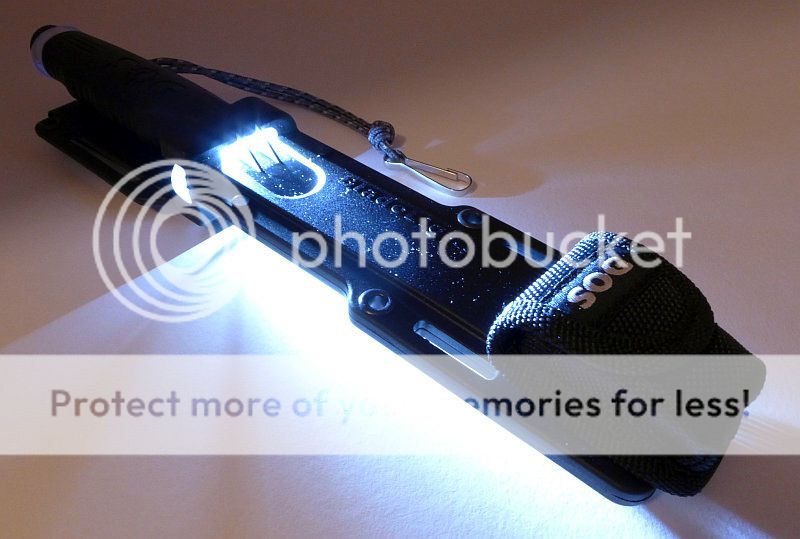 17%20Bladelight%20Fixed%20Sheathed%20LEDs%20on%20P1130018.jpg