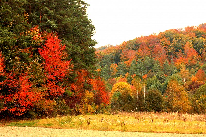 bieszczady-jesienia.jpg