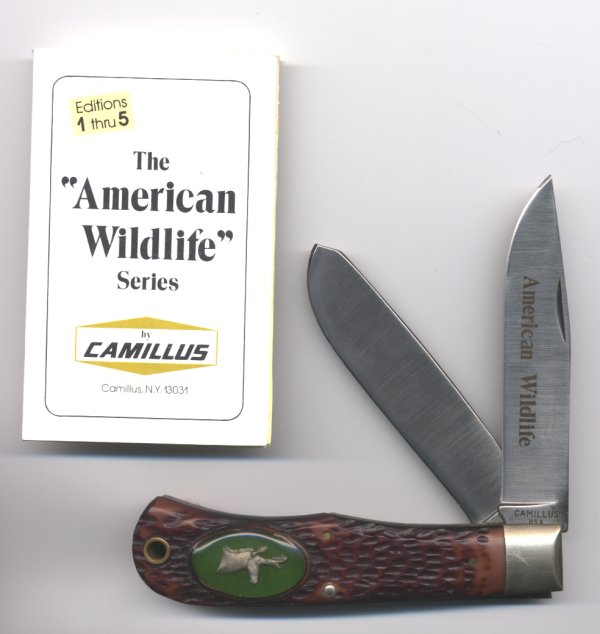 cam-american-wildlife2.jpg