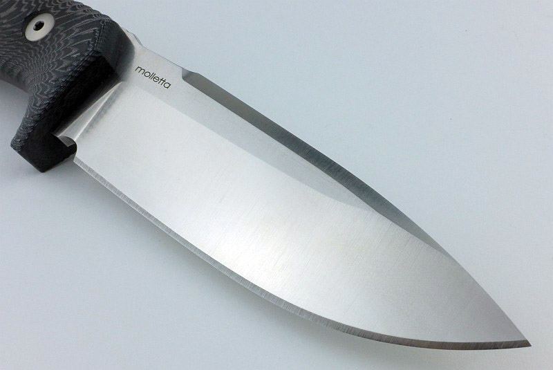 17-Lionsteel-T5-blade-P1260746.jpg