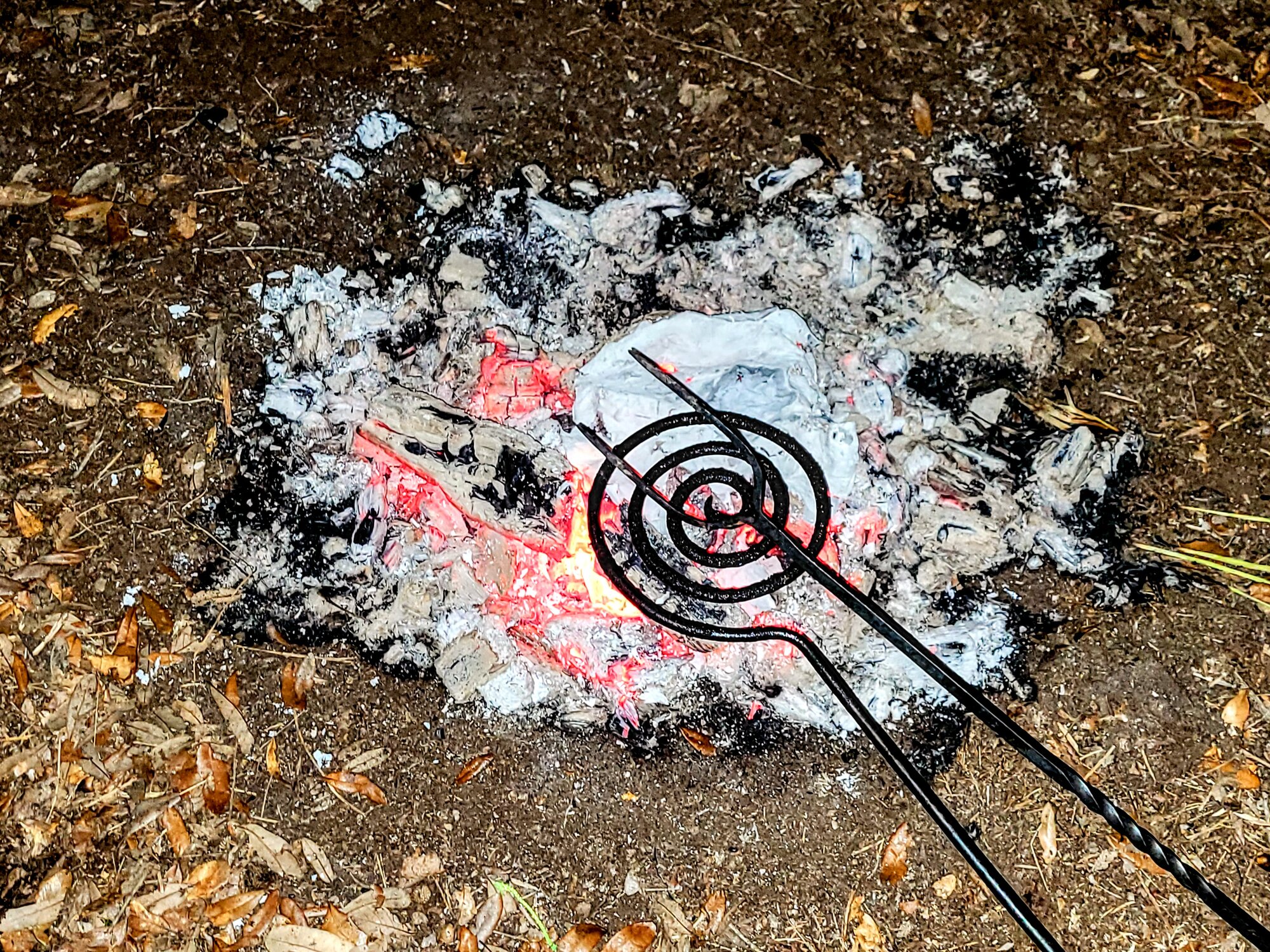 Campfire Cooking.jpg