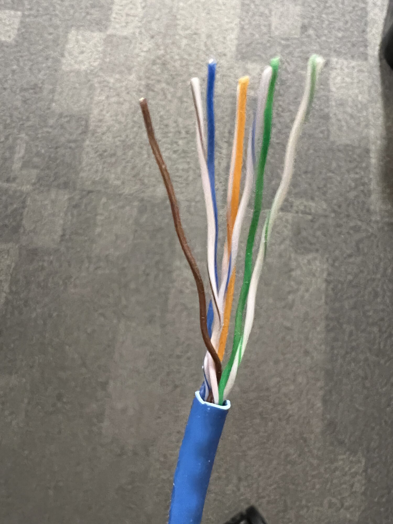 cat_6_cable.jpg