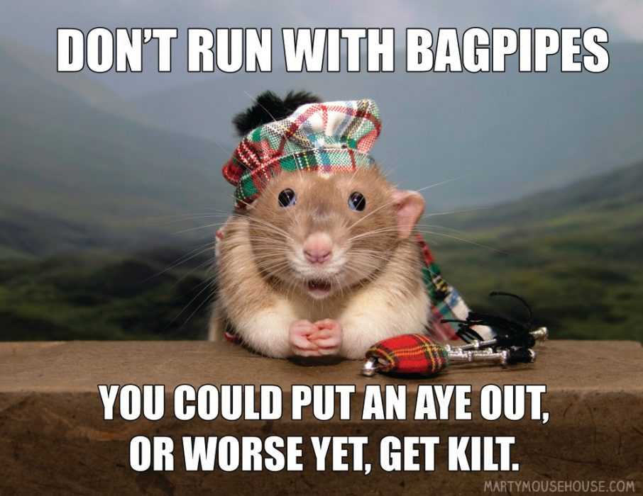 Don't run with bagpipes.jpg