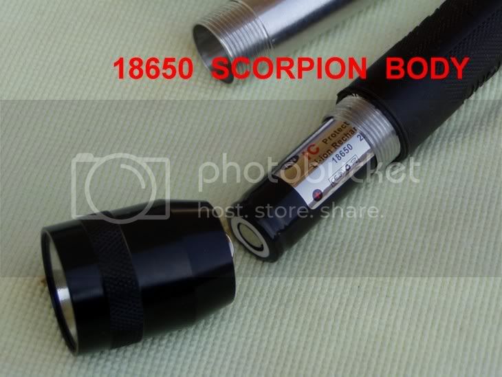 Scorpion003.jpg