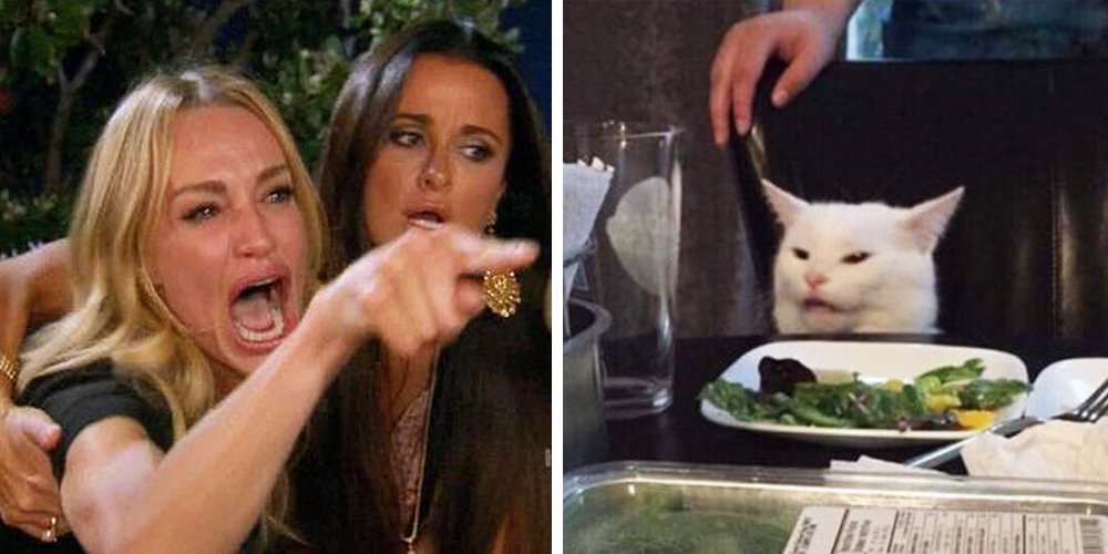 woman-yelling-at-cat-meme.jpg