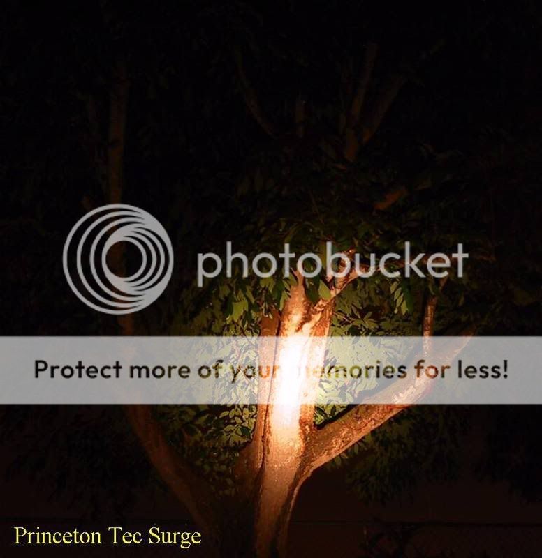 PrincetonTecSurge.jpg