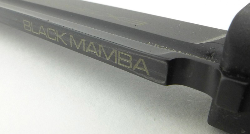 17-ExtremaR-Mamba-model-P1290448.jpg