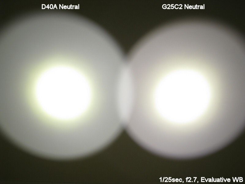 D40A-Neutral013.jpg