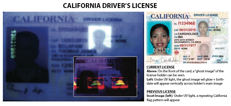 California_DL_license_sample.png
