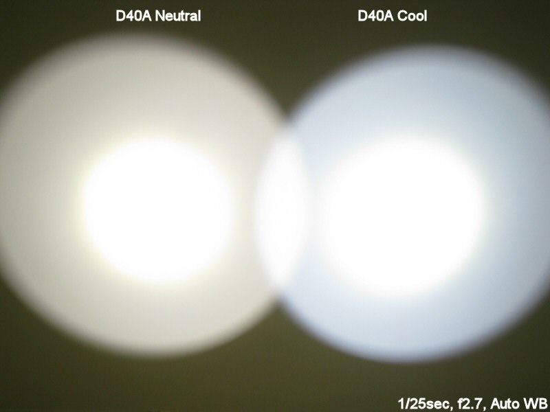 D40A-Neutral001.jpg