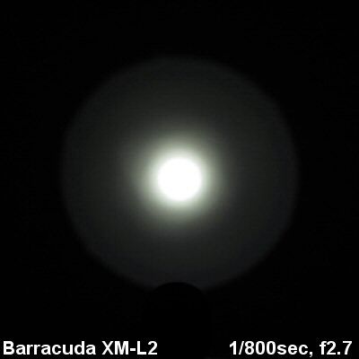 Barracuda-Beam003.jpg