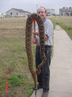 big+rattler.jpg