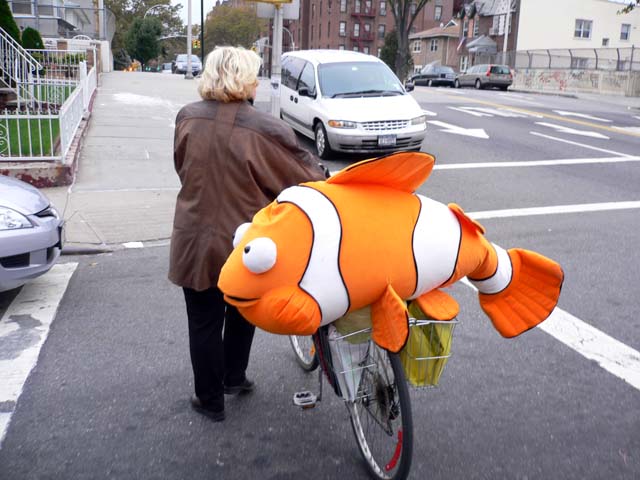 nemo.jpg