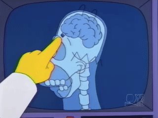 z_homer-simpson-brain-crayon-xray.jpg