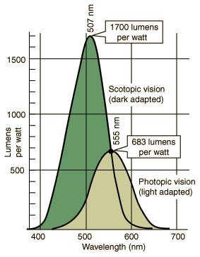 lumeff.gif