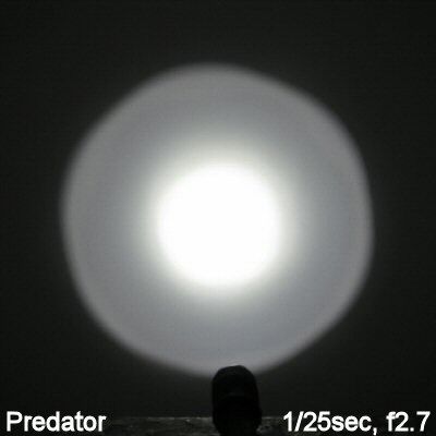 Predator-Beam001.jpg