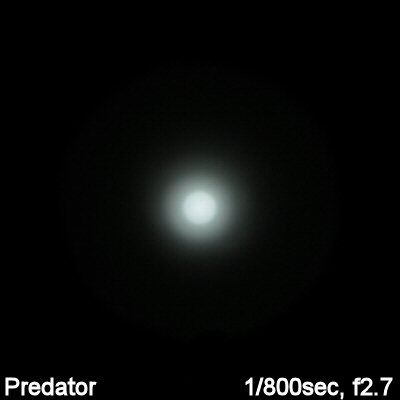 Predator-Beam003.jpg