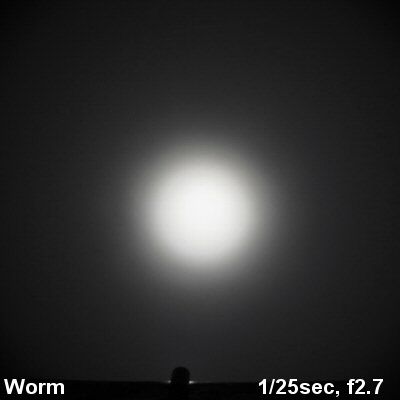 Worm-Beam001.jpg