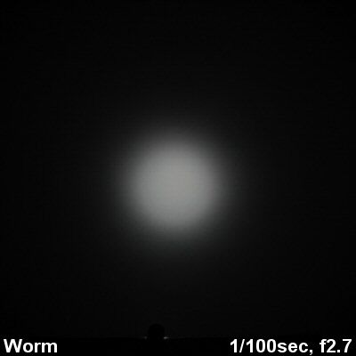 Worm-Beam002.jpg
