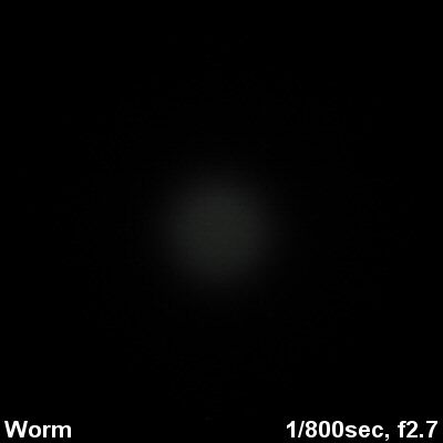 Worm-Beam003.jpg