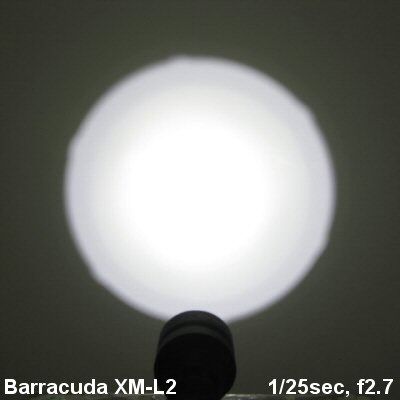 Barracuda-Beam001.jpg
