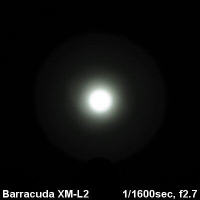 Barracuda-Beam004.jpg