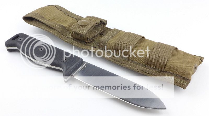 04%20Blackbird%20with%20sheath2%20P1130851.jpg