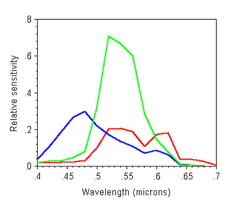 Video_Camera_spectral_sensitivity.jpg