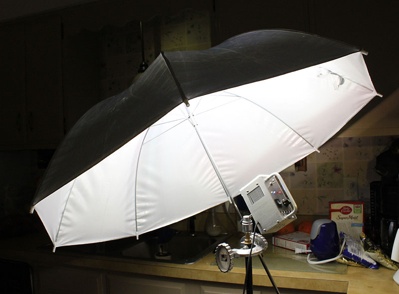 hi-cri%20light_umbrella_01.jpg